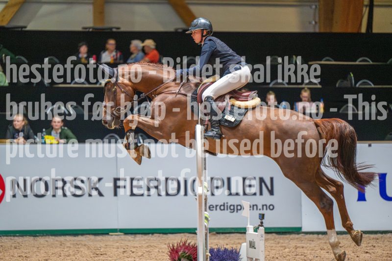 20251011-134647-DSC_2429