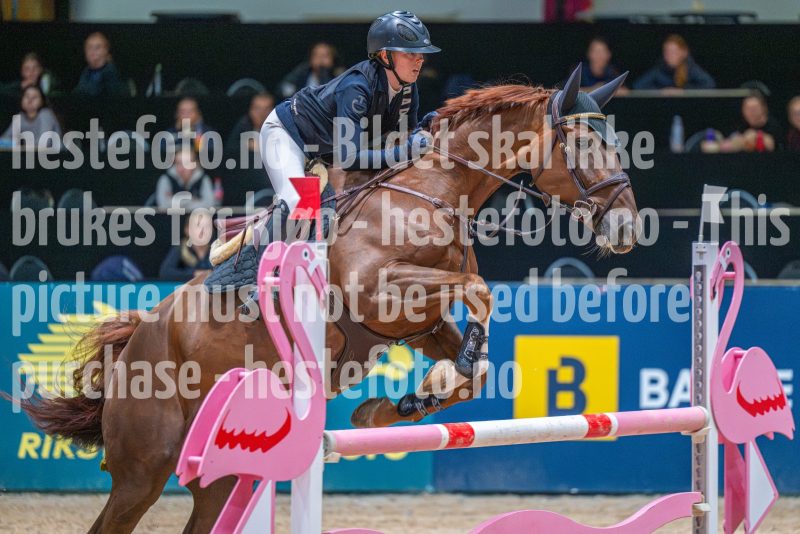 20251011-134707-DSC_2446