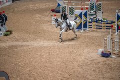 20251011-143555-DSC_2936
