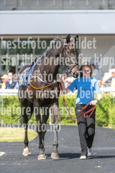 20250615-114059-DSC_4231