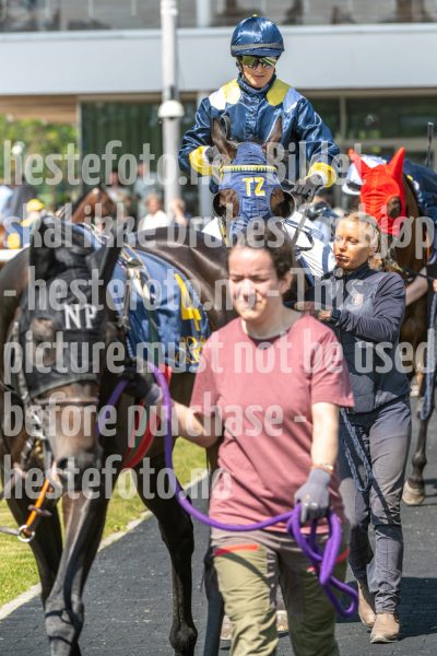 20250615-114132-DSC_4279