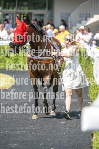 20250615-121000-DSC_5732