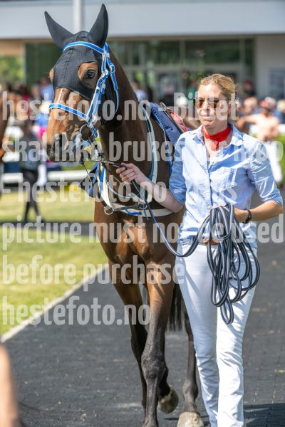 20250615-123614-DSC_6878