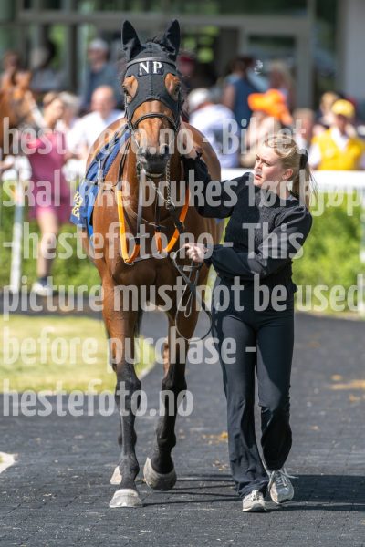 20250615-130300-DSC_7888