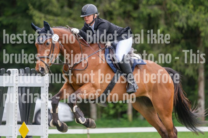 20250511-121843-z6-DSC_9858