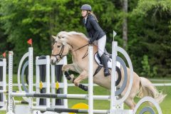 20250511-122000-z7-_DSC0439
