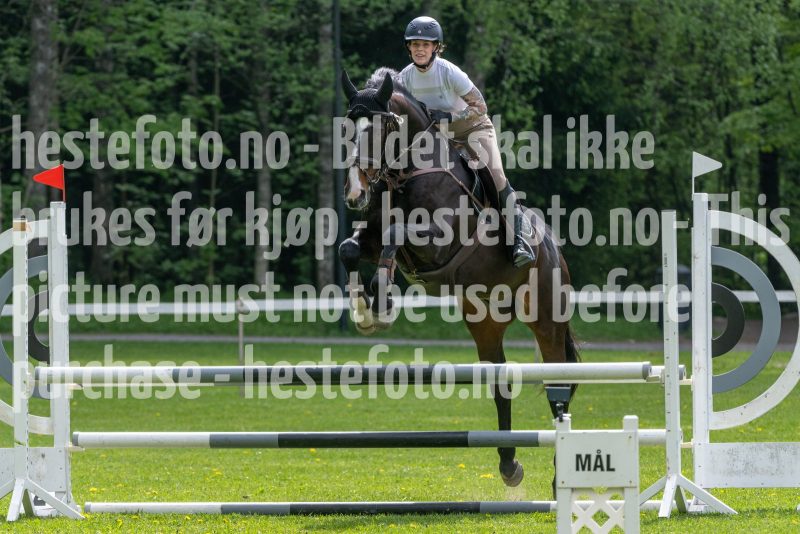 20250511-130709-295-DSC_7131