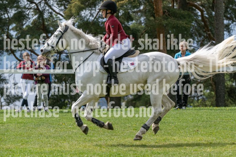 20250511-131205-295-DSC_8428