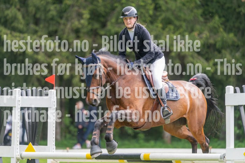 20250511-133334-z6-DSC_0367
