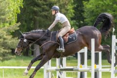 20250511-130313-z7-_DSC0828