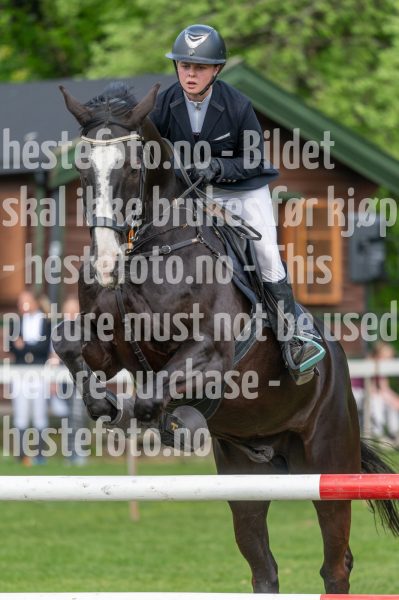 20250511-140309-z6-DSC_0532