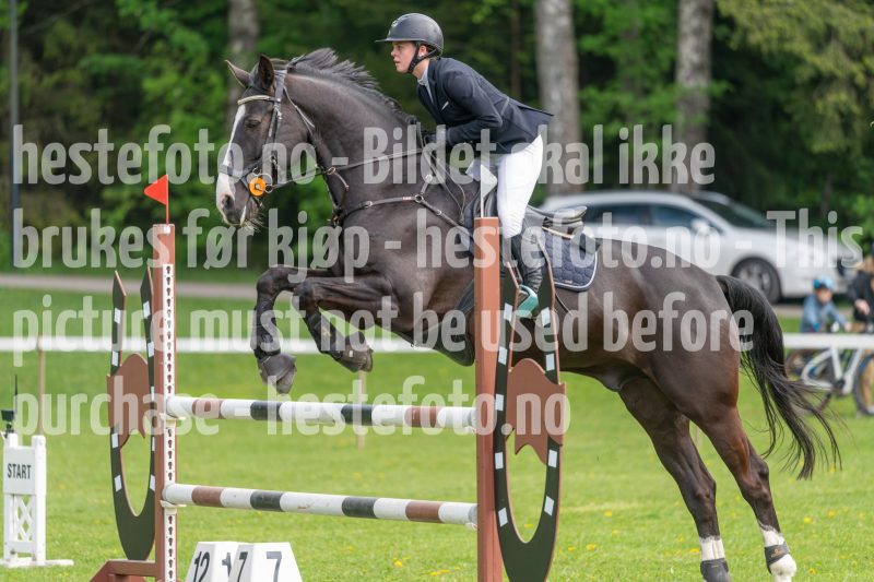 20250511-140354-z6-DSC_0539