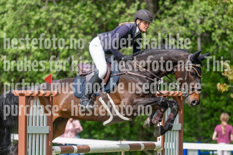 20250511-143118-z6-DSC_0642