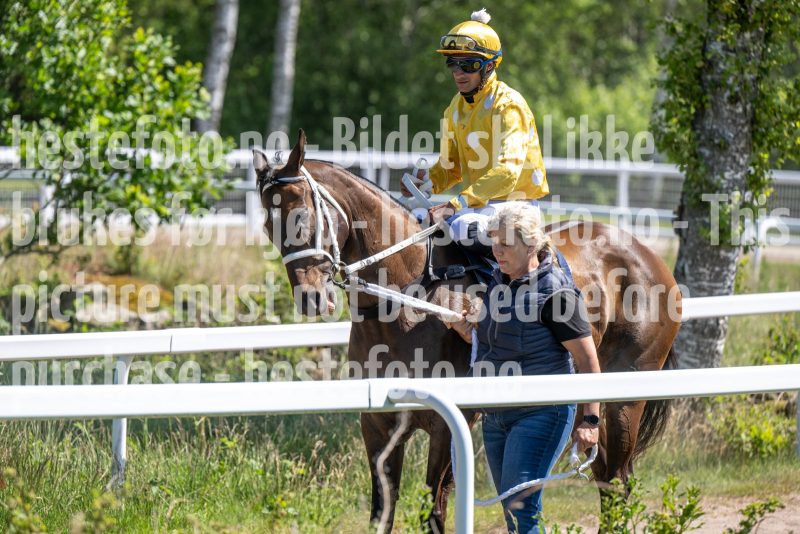 20250625-121530-DSC_6627