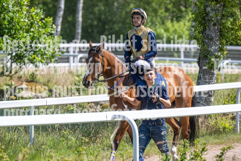20250625-121554-DSC_6736