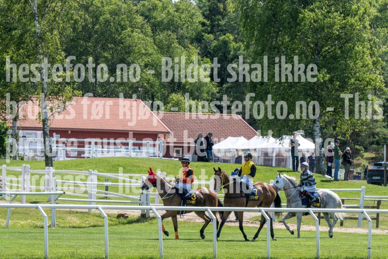 20250625-124155-DSC_8422