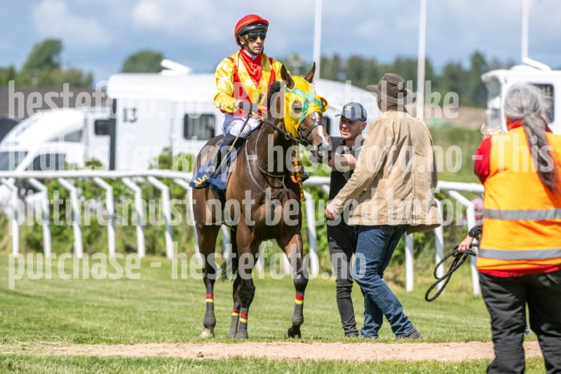 20250625-145455-DSC_3747