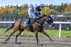 20251012-131316-DSC_5352