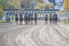 20251012-143051-DSC_6648
