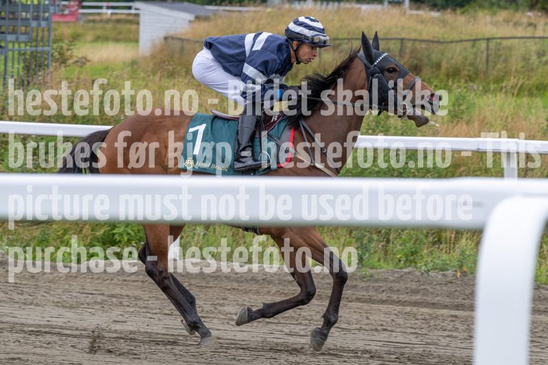 20250814-181112-DSC_0140