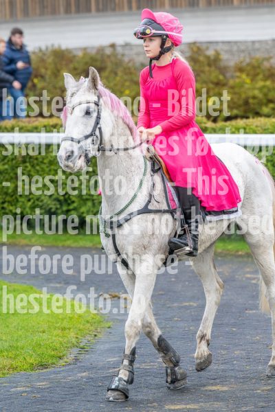 20251102-160016-DSC0174