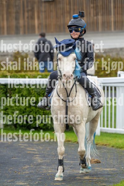 20251102-160052-DSC0215