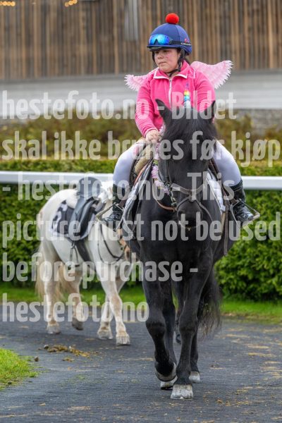 20251102-160056-DSC0217