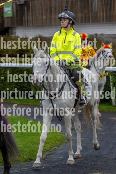 20251102-160117-DSC0242