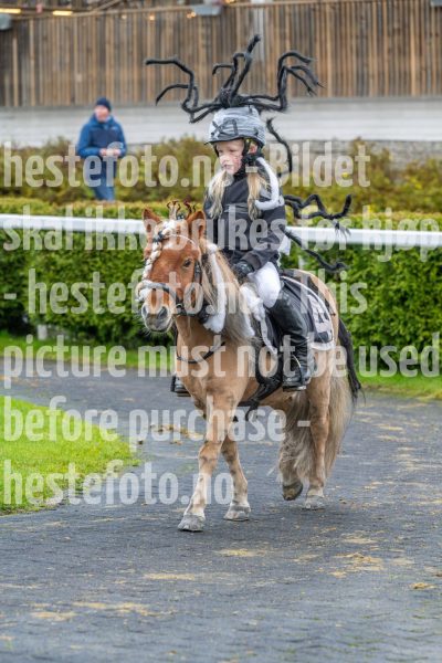 20251102-160143-DSC0256