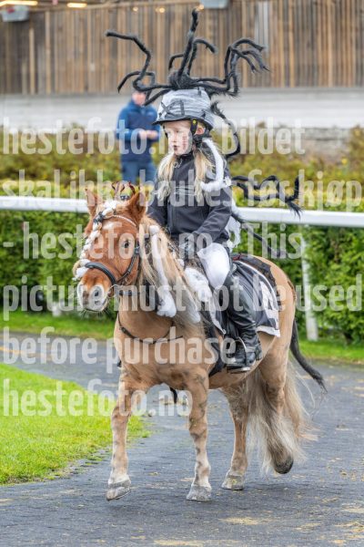 20251102-160143-DSC0259