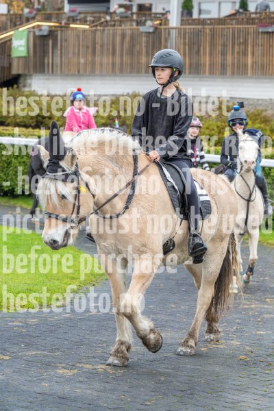 20251102-160213-DSC0264