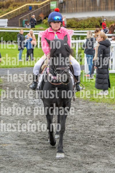 20251102-160627-DSC0346