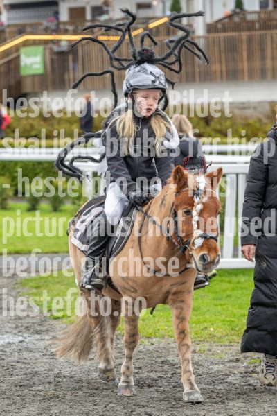 20251102-160705-DSC0369