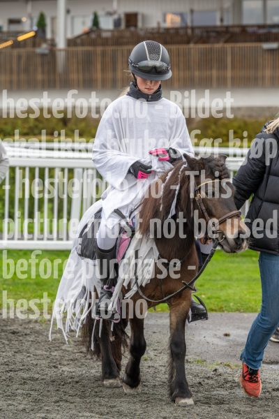 20251102-160724-DSC0380