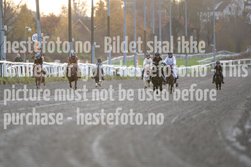 20251102-161607-DSC_2141