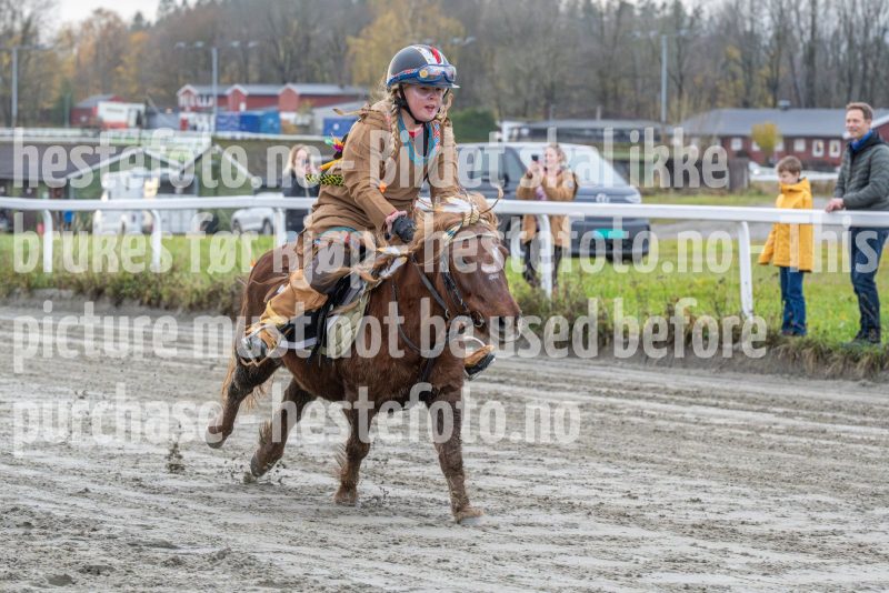 20251102-161610-DSC0410