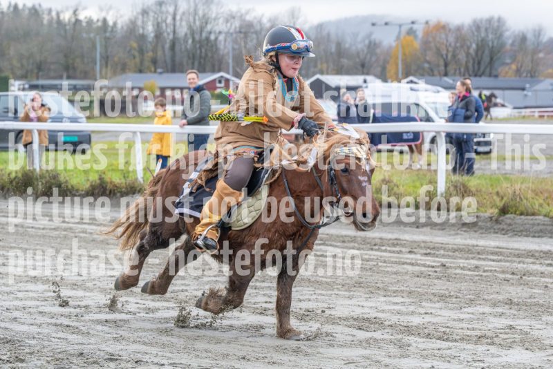 20251102-161611-DSC0413