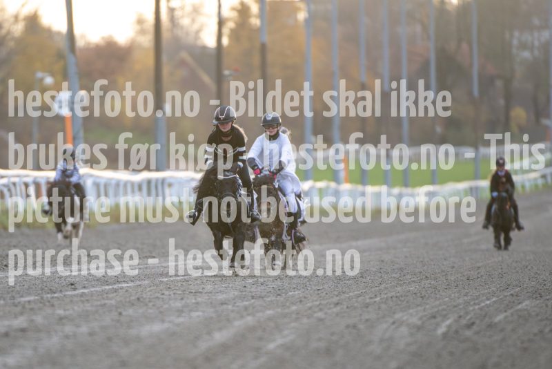 20251102-161611-DSC_2185