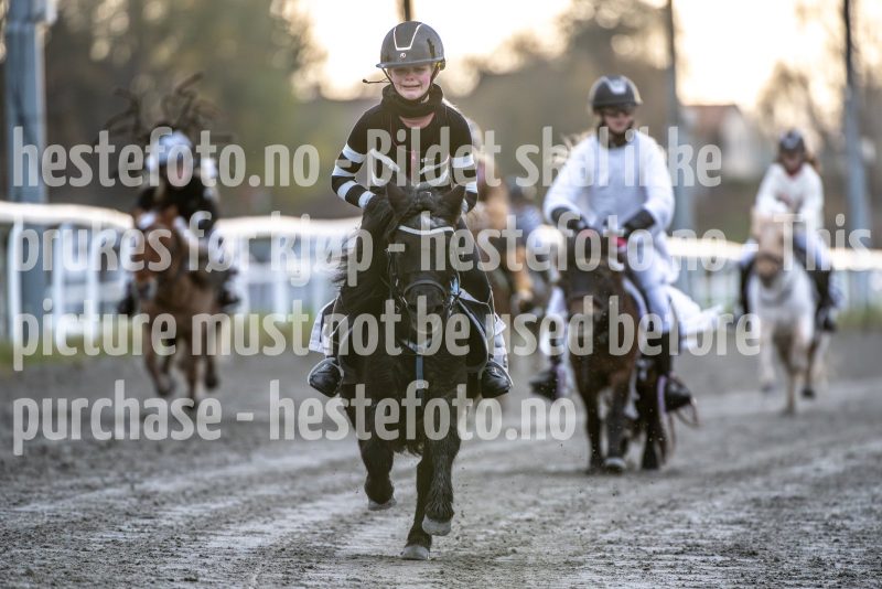 20251102-161617-DSC_2251