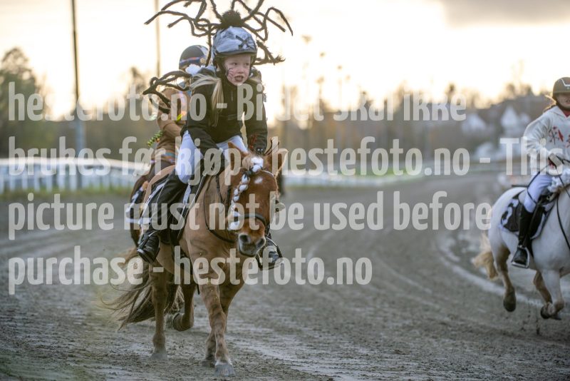 20251102-161623-DSC_2318