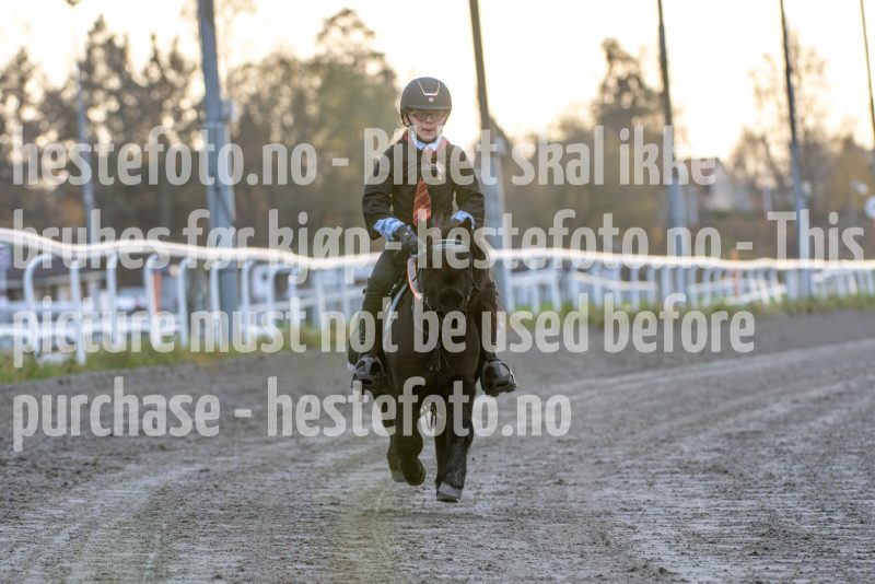 20251102-161632-DSC_2375