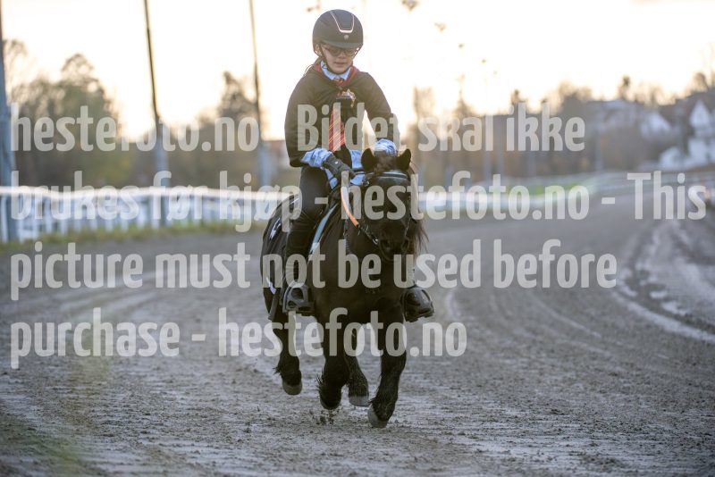 20251102-161634-DSC_2401