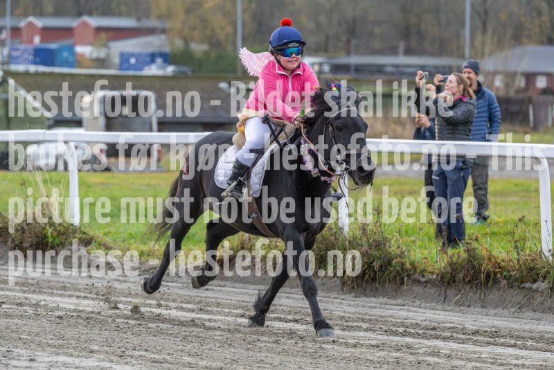 20251102-161949-DSC0430