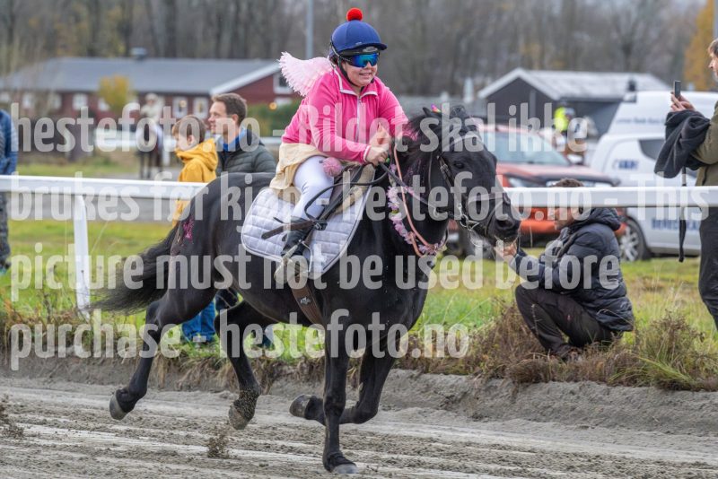 20251102-161950-DSC0434