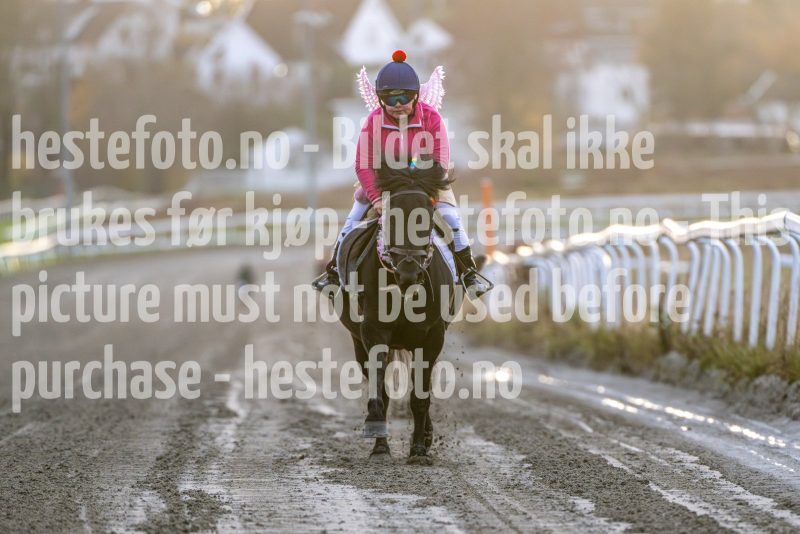 20251102-161954-DSC_2570