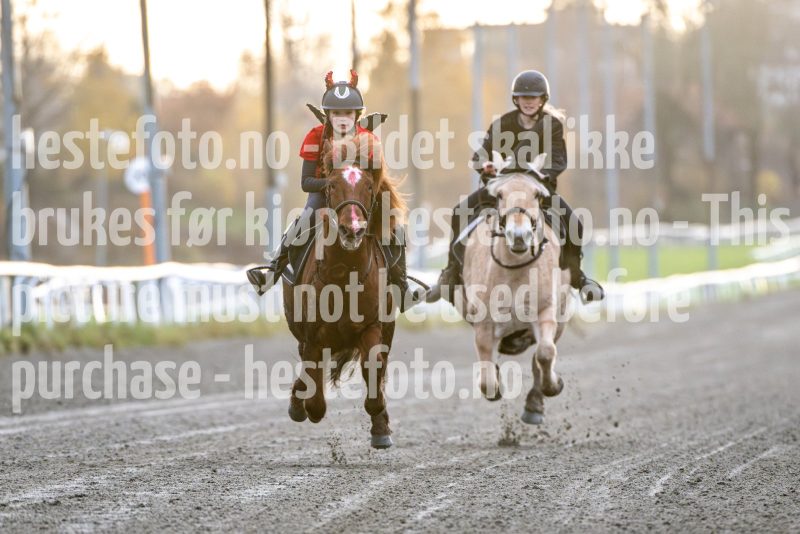 20251102-161956-DSC_2590