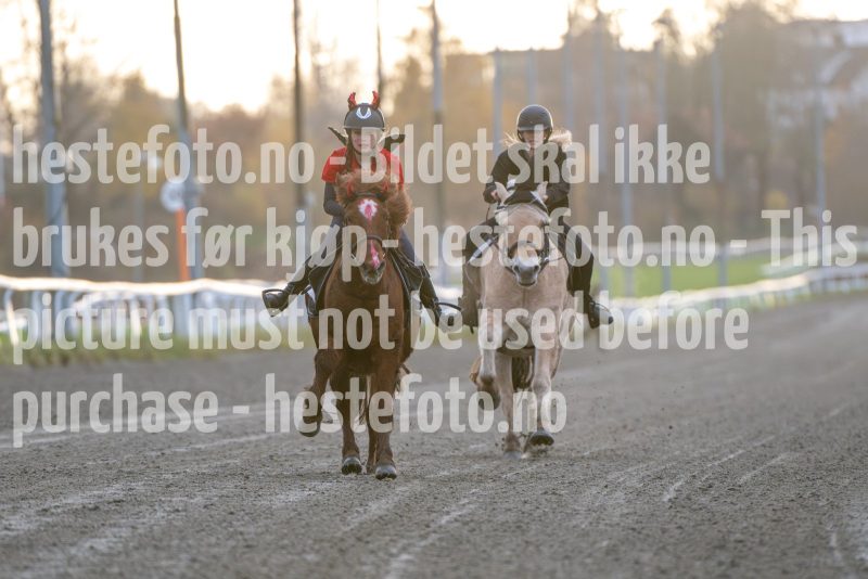 20251102-161956-DSC_2593