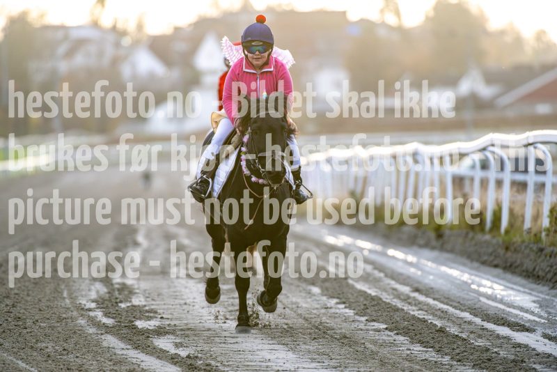 20251102-161957-DSC_2607