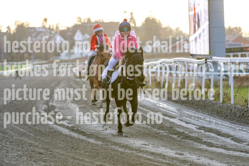 20251102-161958-DSC_2611