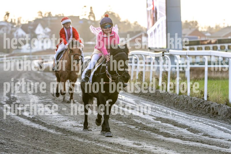 20251102-161958-DSC_2618